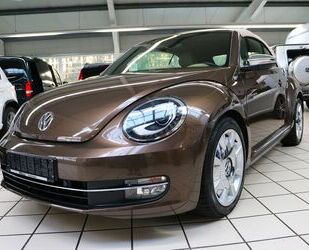 VW Beetle Gebrauchtwagen