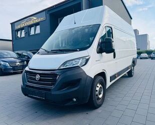 Fiat Ducato Gebrauchtwagen
