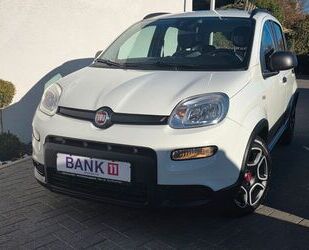 Fiat Panda Gebrauchtwagen
