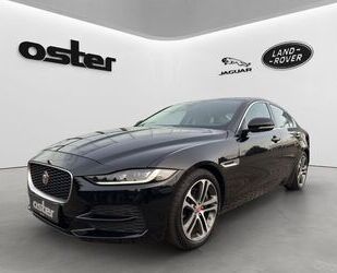 Jaguar XE Gebrauchtwagen