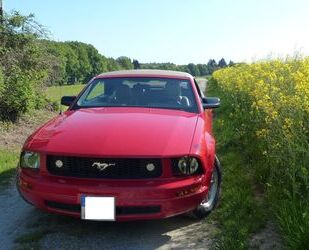Ford Mustang Gebrauchtwagen