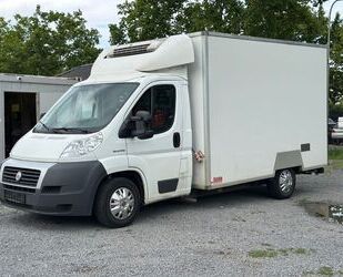 Fiat Ducato Gebrauchtwagen