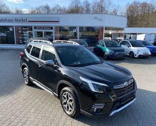 Subaru Forester Gebrauchtwagen