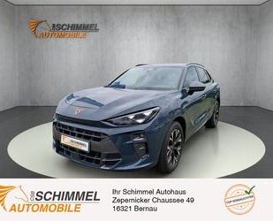 Cupra Terramar Gebrauchtwagen