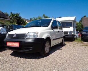 Fiat Panda Gebrauchtwagen