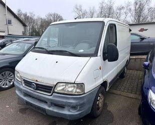 Fiat Ducato Gebrauchtwagen