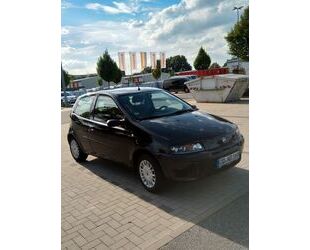 Fiat Punto Gebrauchtwagen