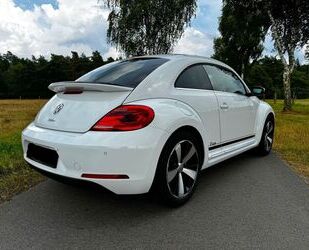 VW Beetle Gebrauchtwagen