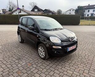 Fiat Panda Gebrauchtwagen