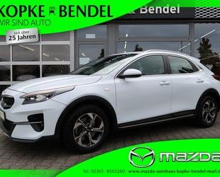 Kia XCeed Gebrauchtwagen
