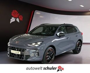 Cupra Terramar Gebrauchtwagen