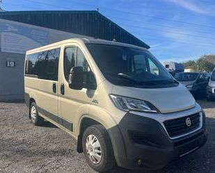 Fiat Ducato Gebrauchtwagen