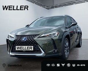 Lexus UX Gebrauchtwagen