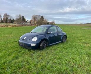 VW Beetle Gebrauchtwagen