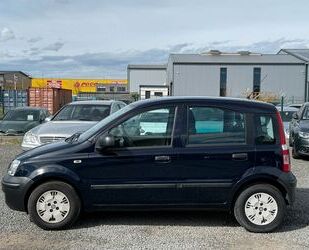 Fiat Punto Gebrauchtwagen