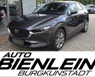 Mazda CX-30 Gebrauchtwagen