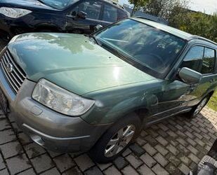 Subaru Forester Gebrauchtwagen