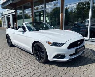 Ford Mustang Gebrauchtwagen