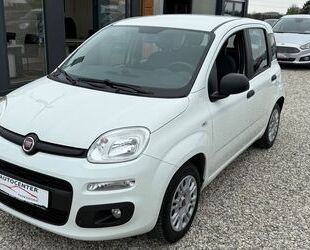 Fiat Panda Gebrauchtwagen