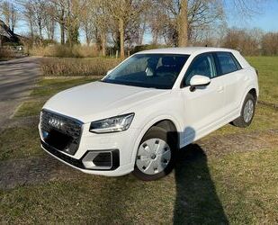 Audi Q2 Gebrauchtwagen