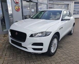 Jaguar F-Pace Gebrauchtwagen