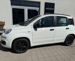 Fiat Panda Gebrauchtwagen