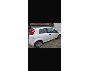 Fiat Punto Gebrauchtwagen