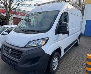 Fiat Ducato Gebrauchtwagen