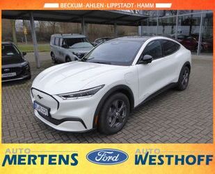 Ford Mustang Mach-E Gebrauchtwagen