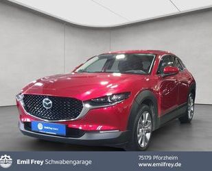 Mazda CX-30 Gebrauchtwagen