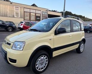 Fiat Panda Gebrauchtwagen