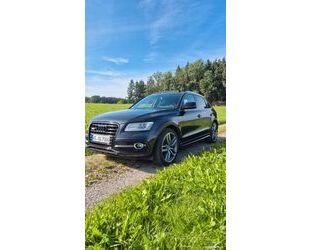 Audi SQ5 Gebrauchtwagen