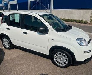 Alfa Romeo Panda 