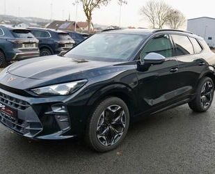 Cupra Terramar Gebrauchtwagen