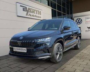 Skoda Karoq Gebrauchtwagen
