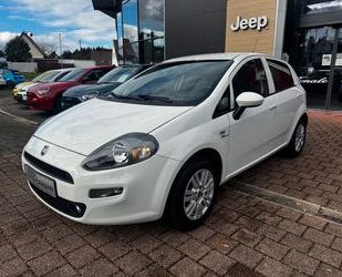 Fiat Punto Gebrauchtwagen