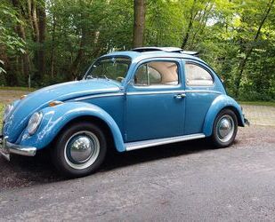 VW Käfer Gebrauchtwagen