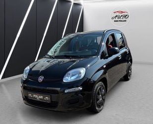 Fiat Panda Gebrauchtwagen