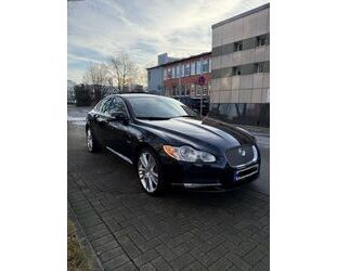 Jaguar XF Gebrauchtwagen