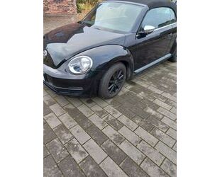 VW Beetle Gebrauchtwagen