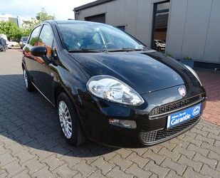Fiat Punto Gebrauchtwagen
