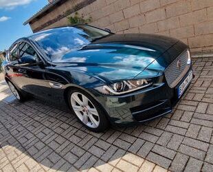 Jaguar XE Gebrauchtwagen
