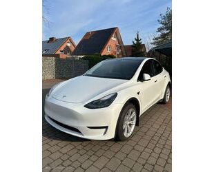 Tesla Model Y Gebrauchtwagen