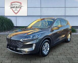 Ford Kuga Gebrauchtwagen