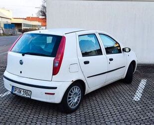 Fiat Punto Gebrauchtwagen