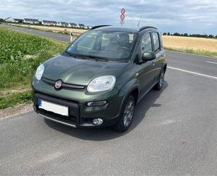 Fiat Panda Gebrauchtwagen