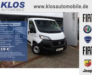 Fiat Ducato Gebrauchtwagen