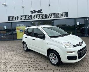 Fiat Panda Gebrauchtwagen