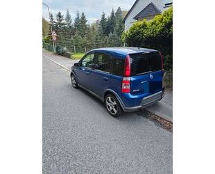 Fiat Panda Gebrauchtwagen