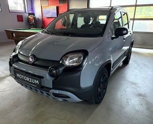 Fiat Panda Gebrauchtwagen